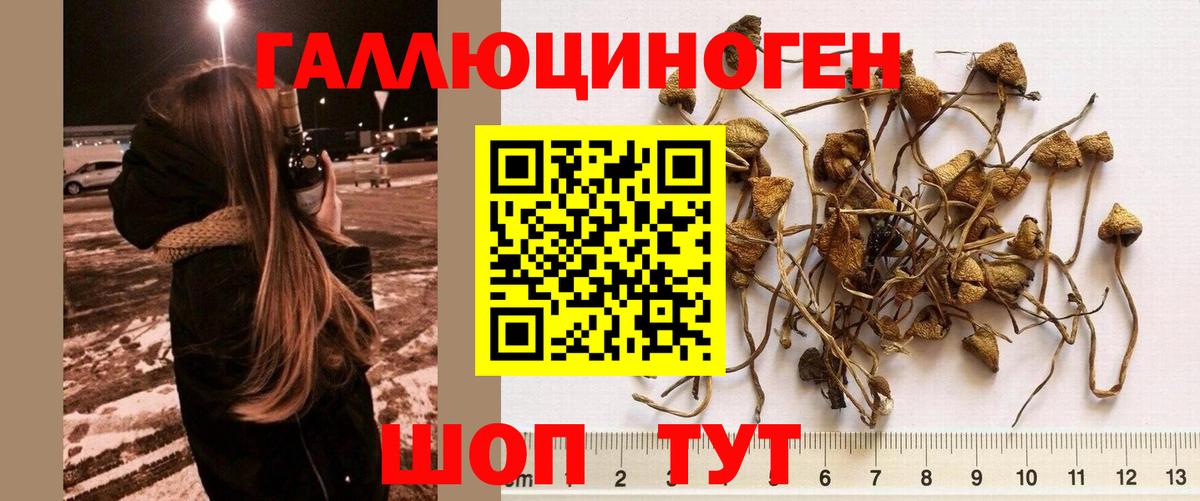 Галлюциногенные грибы GOLDEN TEACHER Назарово
