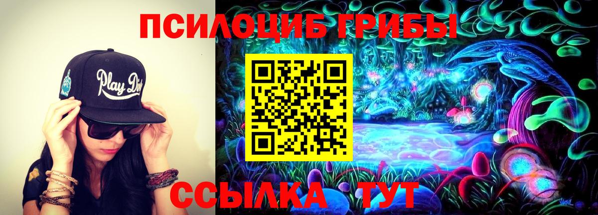 Псилоцибиновые грибы Psilocybe  Галлюциногенные грибы GOLDEN TEACHER  купить наркотики цена  Назарово  Вход с VPN 